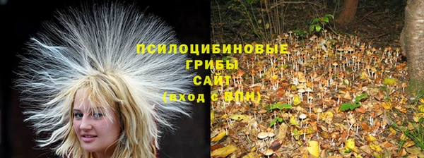 гашишное масло Абинск