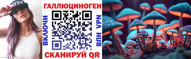 omg как войти  Искитим  Псилоцибиновые грибы Psilocybine cubensis 