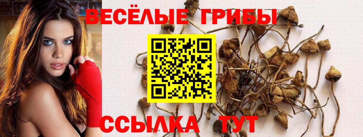 Галлюциногенные грибы Magic Shrooms Искитим